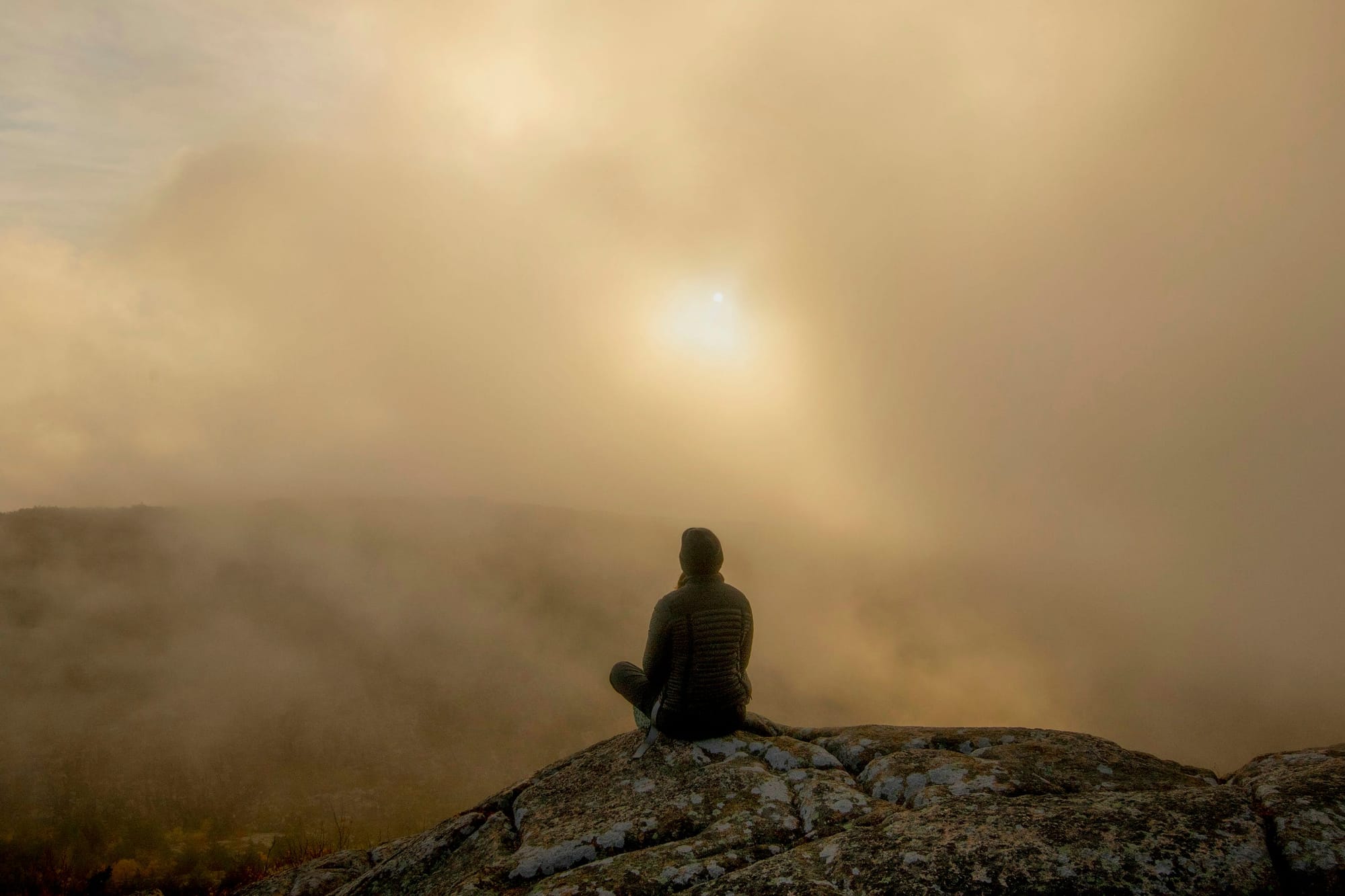 Your World Is Burning. Here's What You Can Actually Do About It.